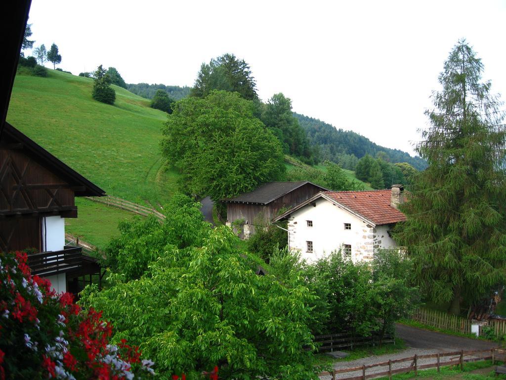 Апартаменты Dillerhof Лайон Экстерьер фото