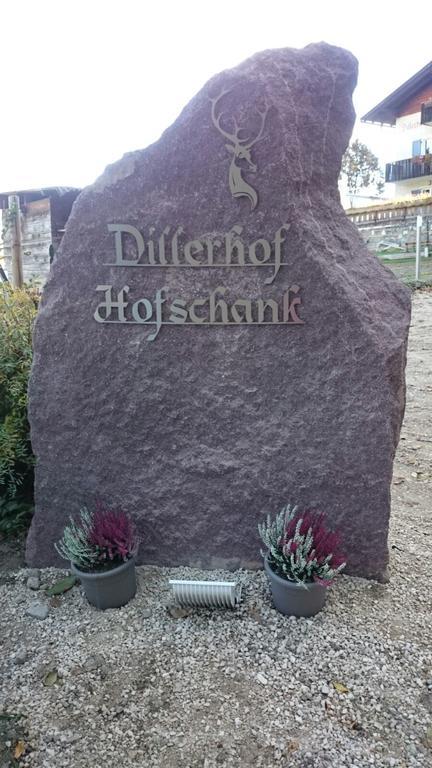 Апартаменты Dillerhof Лайон Экстерьер фото